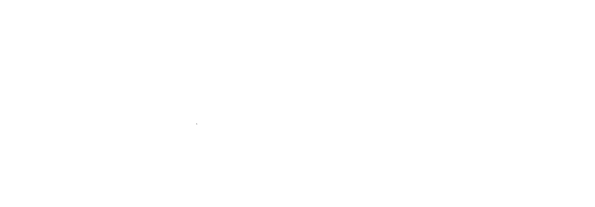 Savvy Aviation Logo